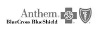 anthem-1920w